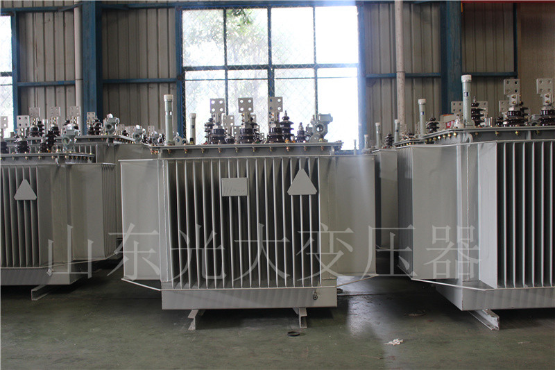 定海S20-500KVA/10KV